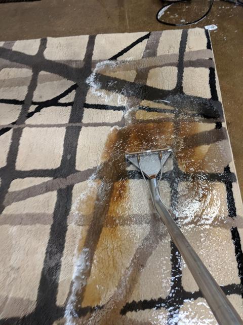Area rug being washed at the Excel rug facility