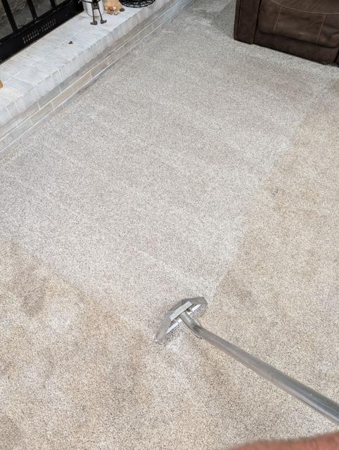 Traffic lanes disappearing as the carpet is deep cleaned