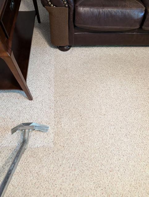 Hot water extraction wand on freshly cleaned carpet