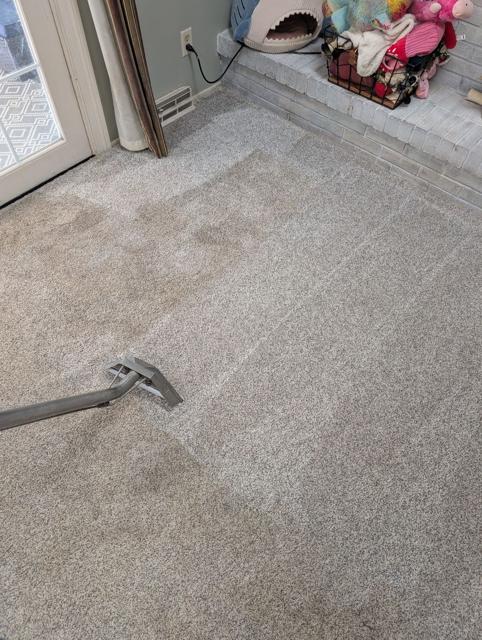 Family room carpet mid-cleaning with visible clean lanes