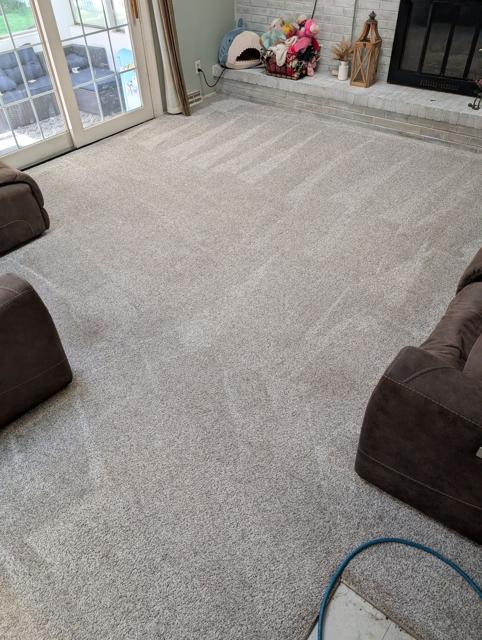 Family room carpet after professional cleaning