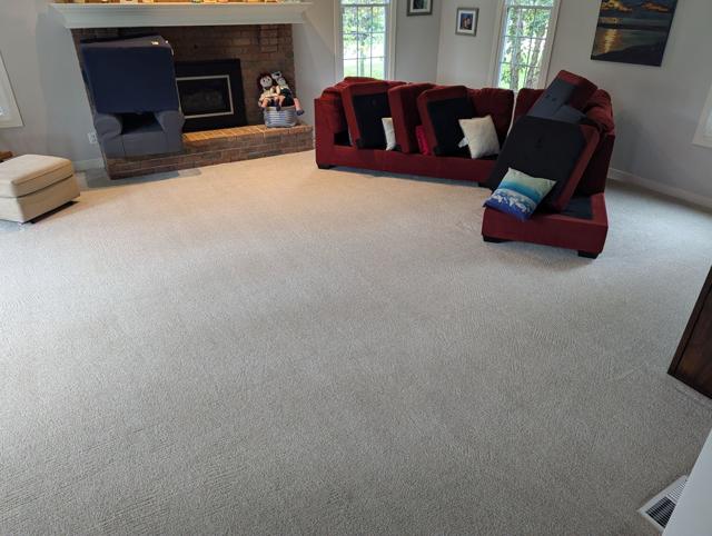 Freshly cleaned living room carpet