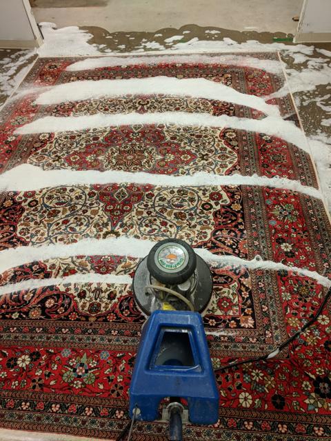 Rotary shampoo pass on an Oriental rug at our facility